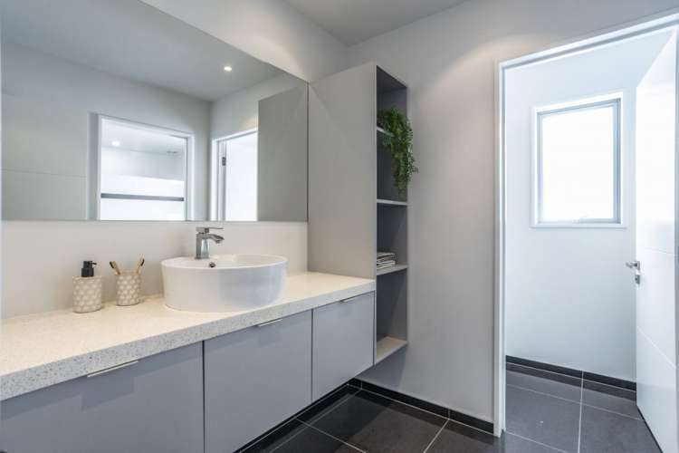 1 Tommy Street Pegasus_13