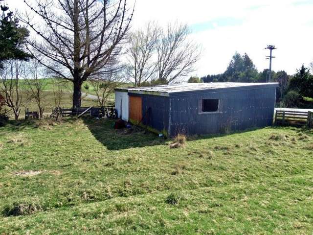 Koi Flat Road Clutha_2