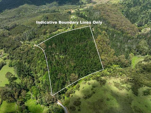 264 Taylor Road Taipa_2