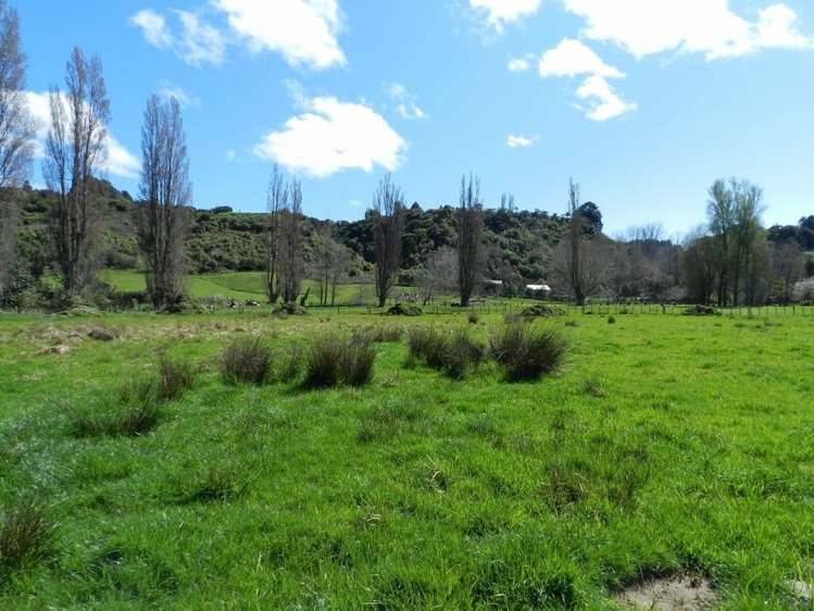 974 Finnis Road Pohangina_1