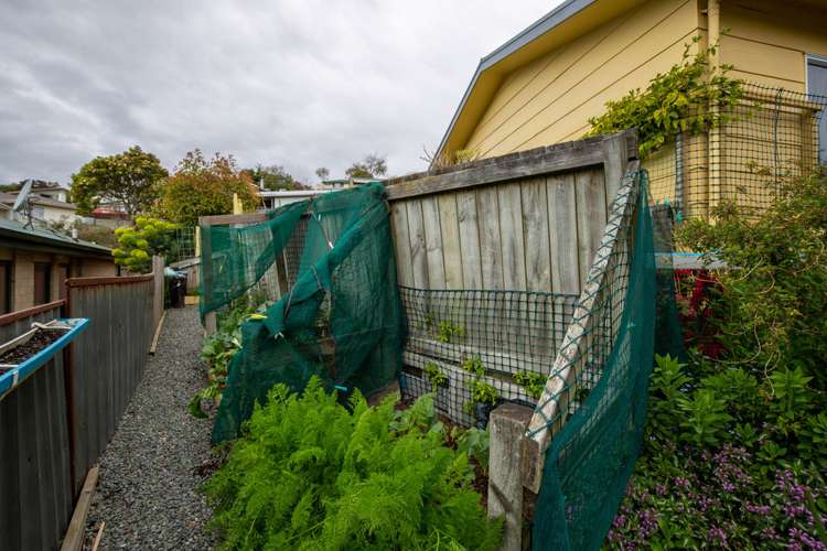 2/8a Piko Street Toi Toi_13