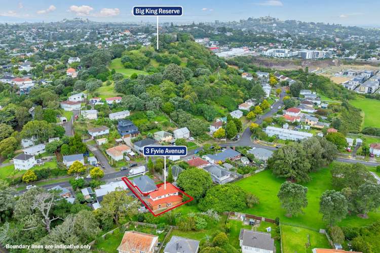 3 Fyvie Avenue Mt Roskill_19