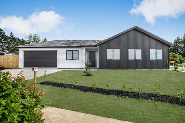 64 Prado Drive Pukekohe_2