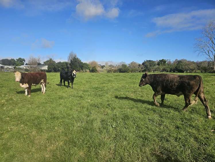 43 Hongi Street Kaikohe_9
