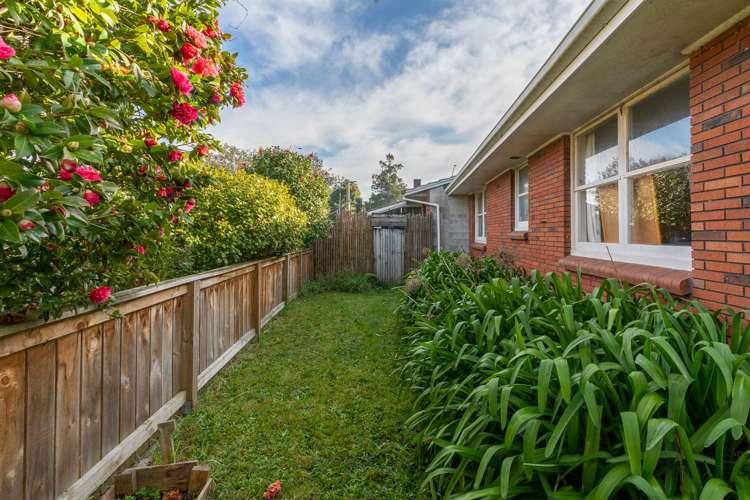 2a Boundary Road Claudelands_18