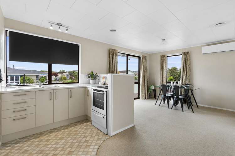 2a Spence Place Morrinsville_7