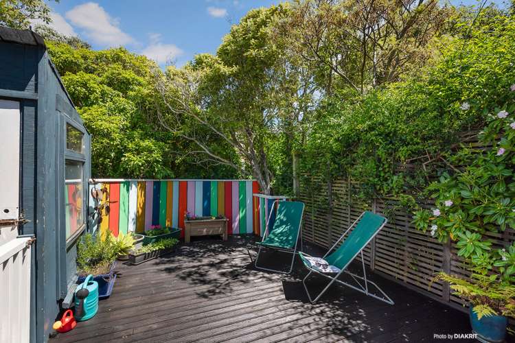 5 Carrington Street Mount Cook_11