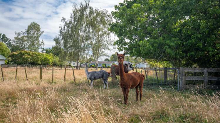 15 Golf Street Putaruru_23