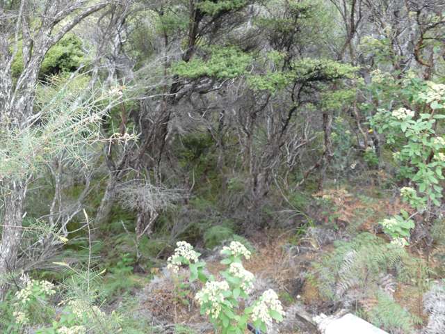 13 Harpoon Hill Great Barrier Island (Aotea Island)_4