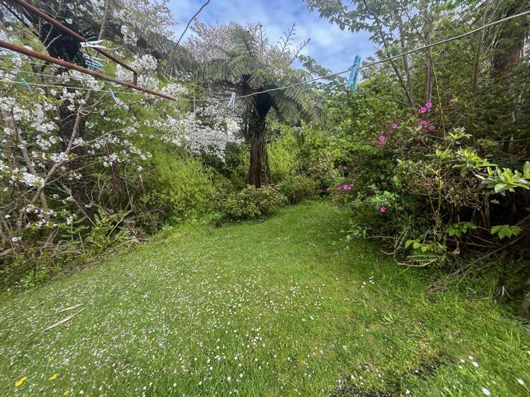 98 Ward Street Cobden_17