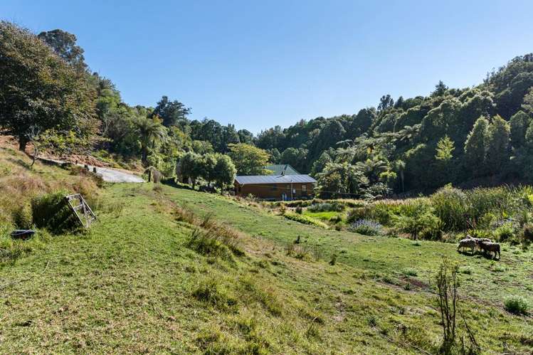 144b Heta Road Highlands Park_2