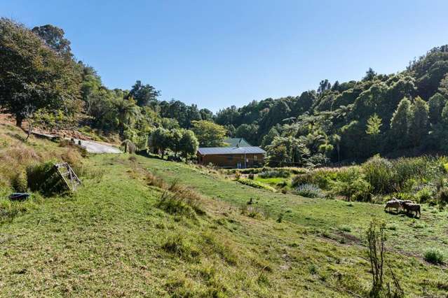 144b Heta Road Highlands Park_2