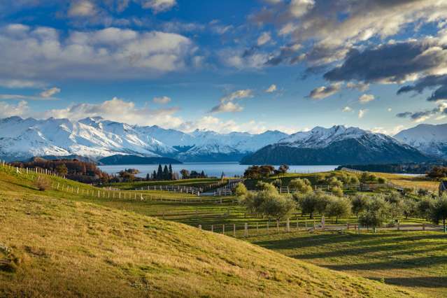 Top Paddock Wanaka_4