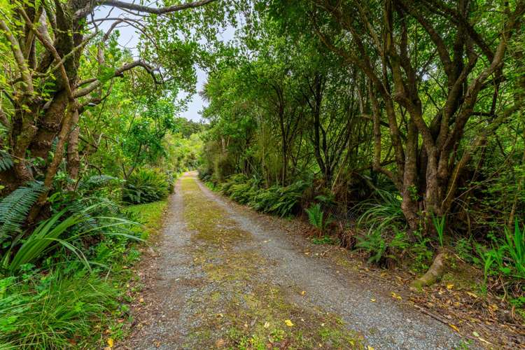 170 Blandswood Road Peel Forest_22