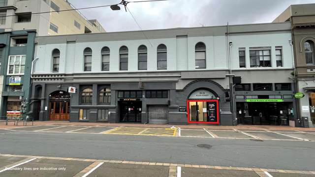 Units 22 and 25/18 Allen Street Te Aro_1