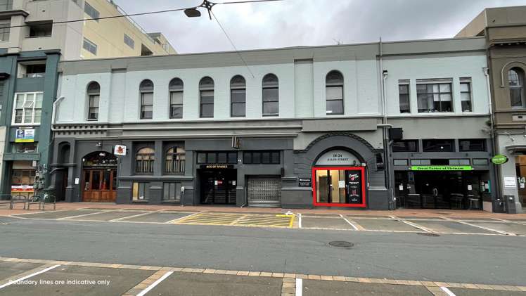 Units 22 and 25/18 Allen Street Te Aro_1