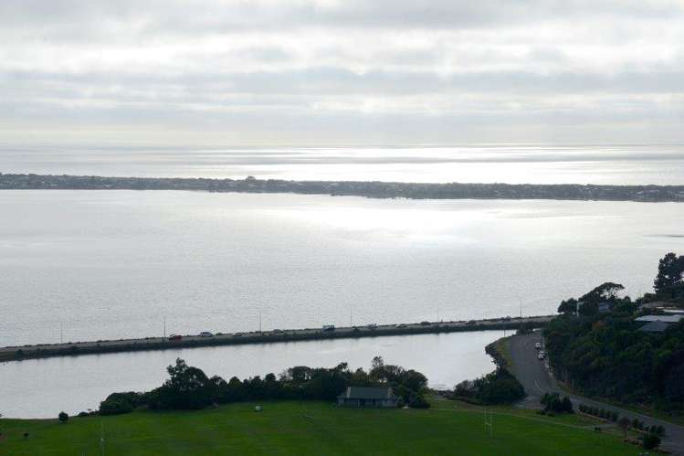 65 Santa Maria Avenue Mount Pleasant_15