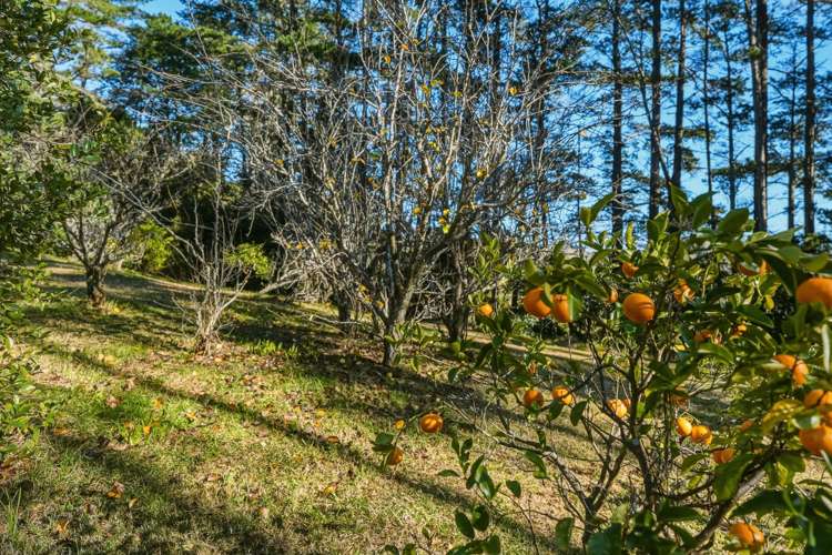 1040 Fisher-Riley Road Kaingaroa_34