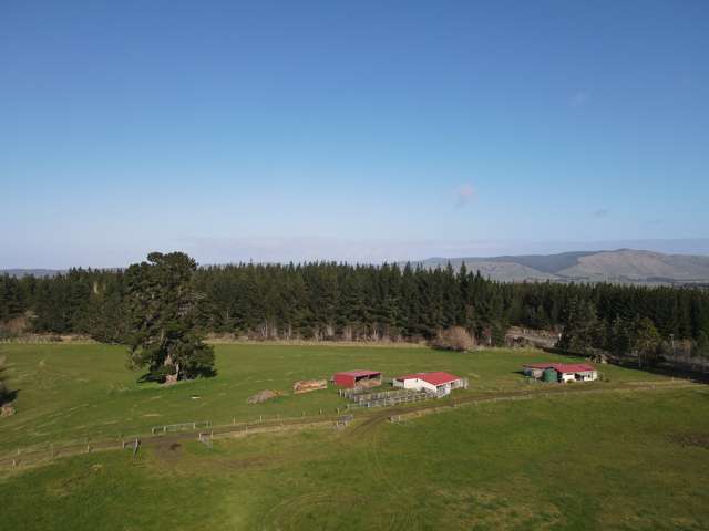 450 Nightcaps - Ohai Highway Ohai_2