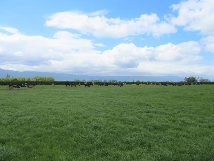 183 Waghorn Road Wardville_13