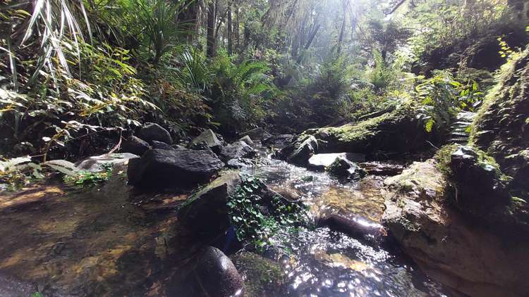 311b Akerama Road Hukerenui and Surrounds_30