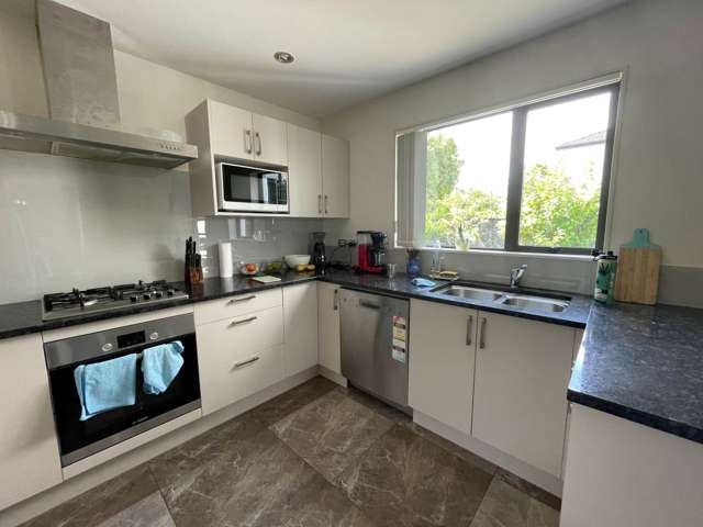 488 Richardson Road Mt Roskill_3