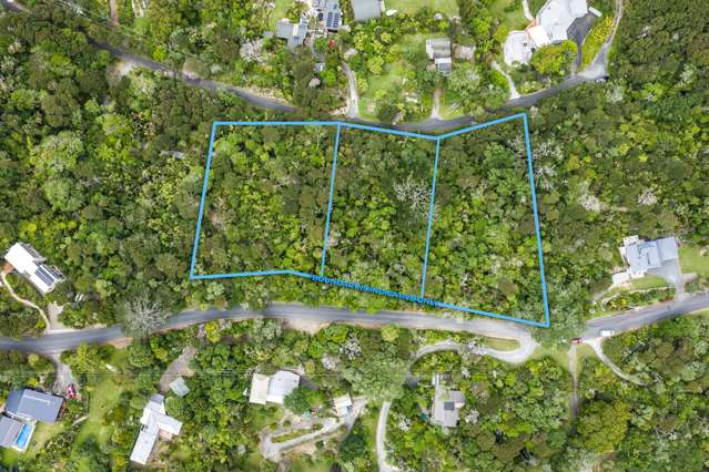 20 Young Street Mahurangi East_1