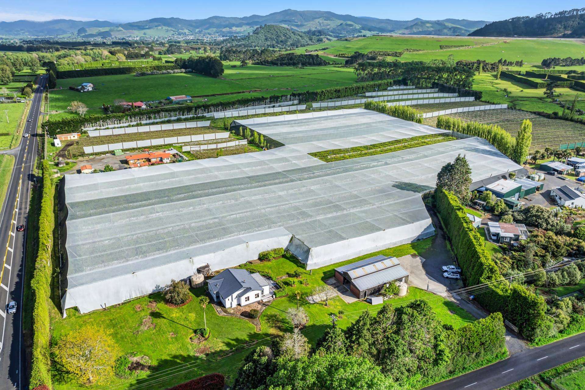 174 Hodges Road, in Waimana, is a 134-hectare turnkey dairy operation that’s for sale by tender. Photo / Supplied