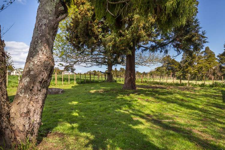 877 Kahikatea Flat Road Waitoki_16