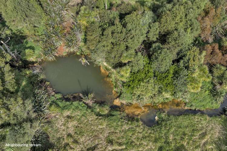 391 Pataua North Road Whareora_14