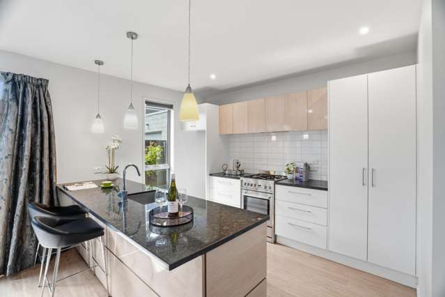 406a Barrington Street Spreydon_2