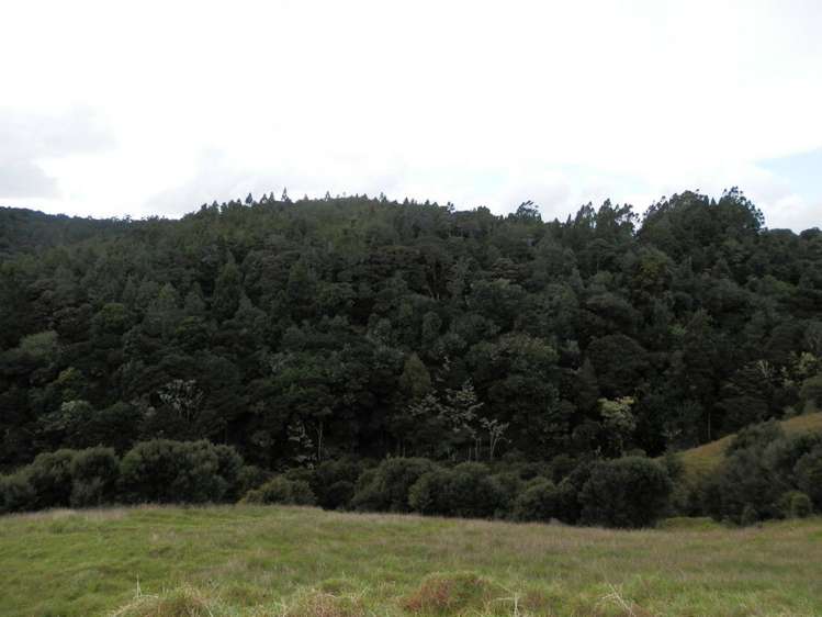 698 Whananaki South Road Whananaki_14