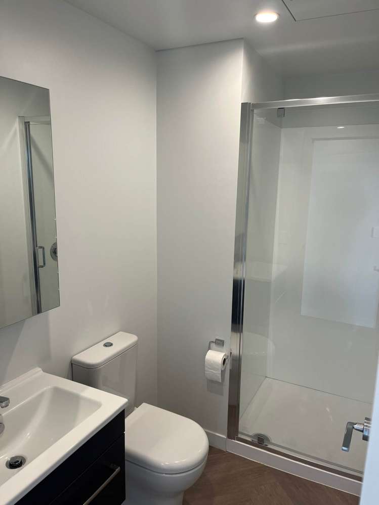 Jellicoe Road Panmure_7