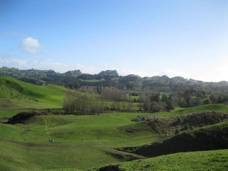 Mangatete Road Ngakuru_0