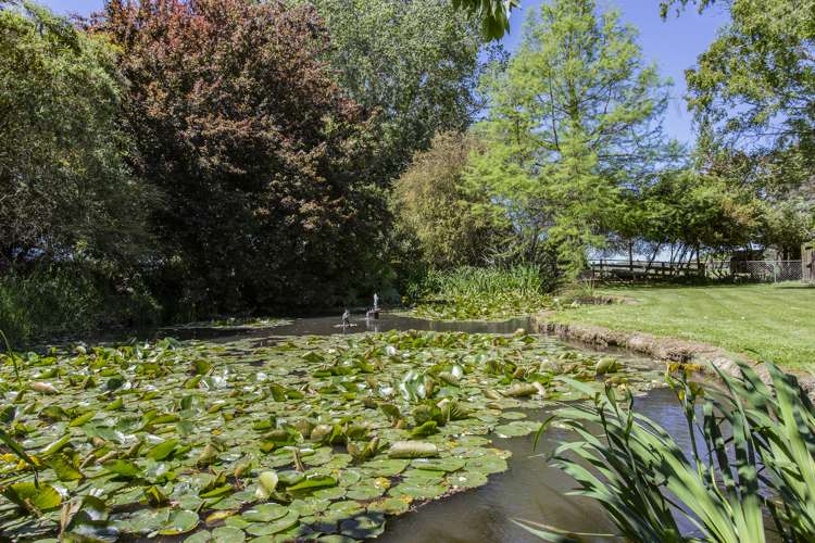 109 Te Pouapatuki Road Tuahiwi_17