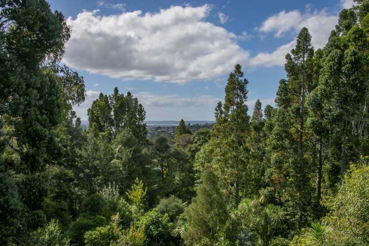 16 Kopiko Road Titirangi_21