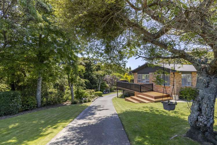 87 Waimea Street Frankleigh Park_2