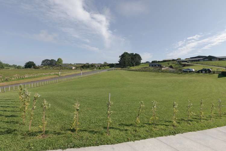 8 Quail Avenue Feilding_21