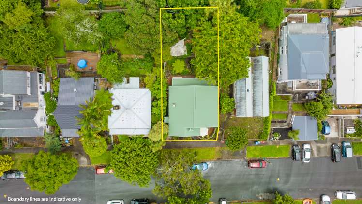 24 Alexander Street Kingsland_21