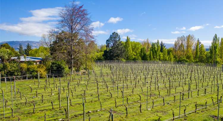 113 Earnscleugh Road Alexandra_10