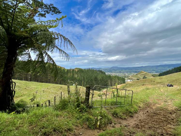 Waitete Road Waihi_17