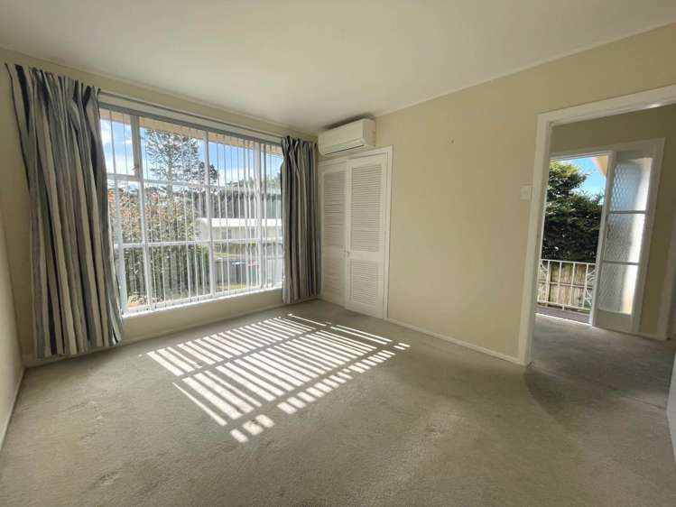 13 Linden Street Mount Roskill_11