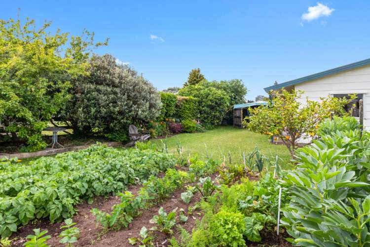 10 Stafford Street Waihi_12