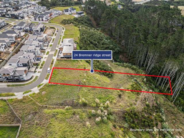 24 Bremner Ridge Street Flat Bush_3