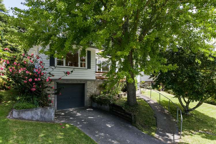 13 Seddon Crescent Whataupoko_6