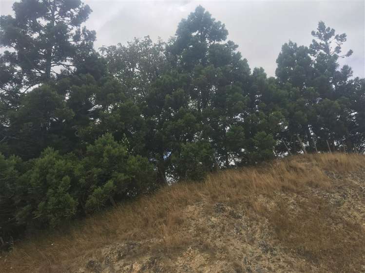 116 Port Albert Road Wellsford_6