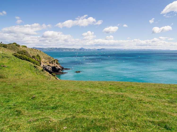 1265 Harington Point Road Harington Point_6