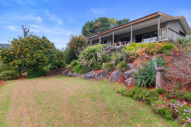 45 Mangotahi Road Thames_3