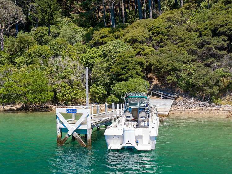 Ahitarakihi Bay Queen Charlotte Sound_4
