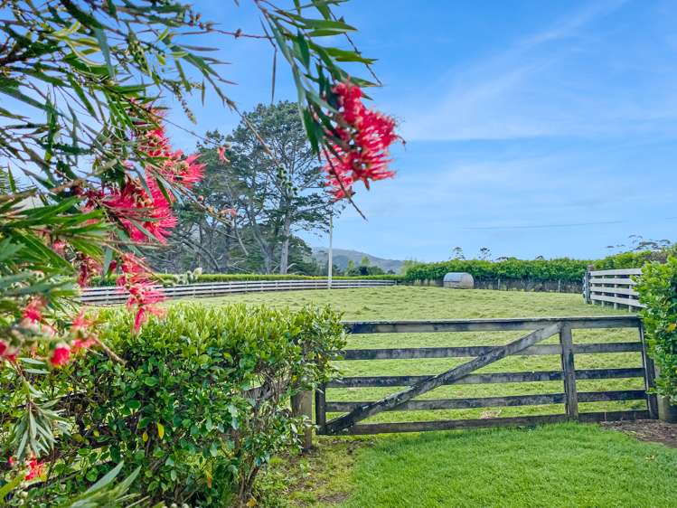 140 Bethells Road Waitakere_14